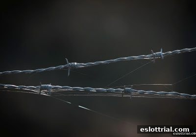 电子游艺试玩平台SG飞艇纠纷：法律视角与实战应对全解析
